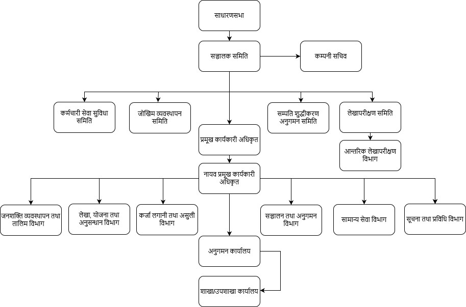 Aviyan LaghubittaOrganization Structure
